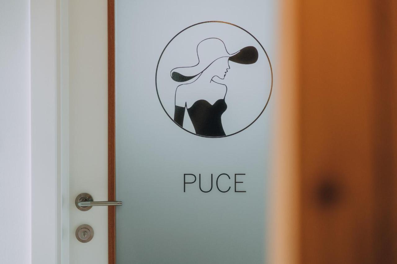 Apartment Carolija Slakovec エクステリア 写真